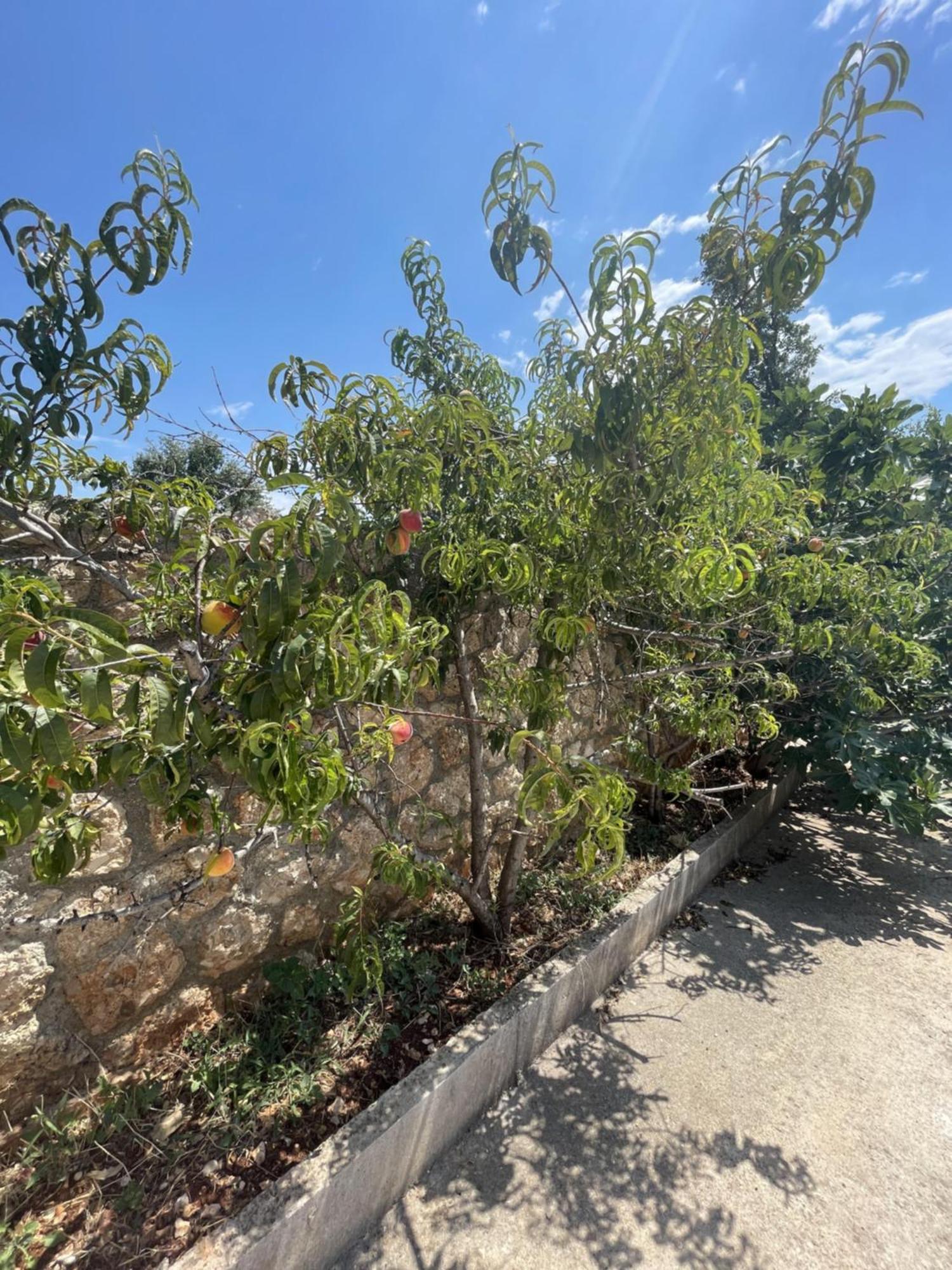 Olympian Rooms Dhermi Luaran gambar